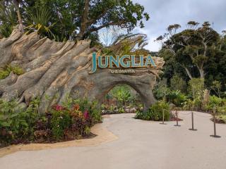 Palm Tree, 美ら海水族館 ジャングリア 古宇利島至近, やんばるの森のプライベートヴィラ - 1