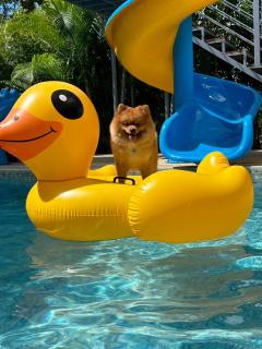 Baanphet Sukphrom Wang Nam Khiao - 1