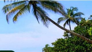 Residentie Roi Des Belges - 4