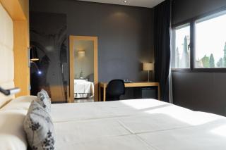 Los Claustros de Ayllón - 7