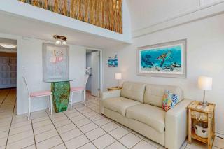 Dog-friendly beachfront condo with pool hot tub AC & Gulf views - 6