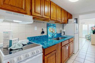 Dog-friendly beachfront condo with pool hot tub AC & Gulf views - 2