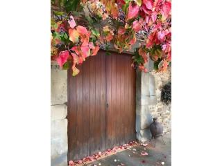 Mas Pareta - La Parra - 8