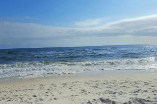 Gorgeous townhouse plenty of space lots of games shared pool close to beach - 6