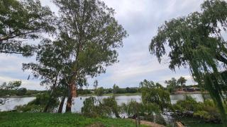 Vaal River - Grobler's Haven On Vaal - 6