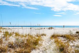 Gulf-front duplex with amazing views & screened deck - right on the beach - 6