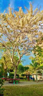 บ้านไม้หอมบูติค สวนผึ้ง - 6