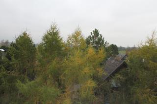 Ferienwohnung L354 für 2-5 Personen an der Ostsee - 3