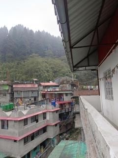 Pines pool homestay - 1