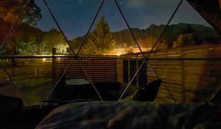 Wilder Tasmania - Gowrie Park - 2