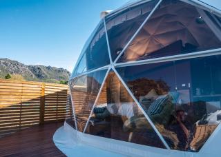 Wilder Tasmania - Gowrie Park - 6