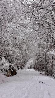 Apartaran 407 con terraza - 6