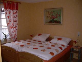 Ferienhaus Schleiruhe - 5