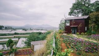 Bungalow Farm Da Lat - 8