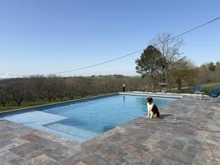 Les vergers d'Anjoy - 8