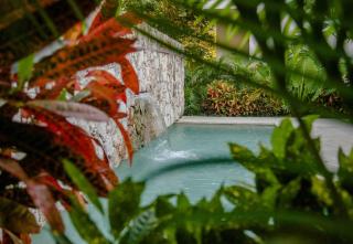 Kam Na Ha 202 - Elegant 2 Bedroom Retreat with Rooftop Oasis and Pool - 8