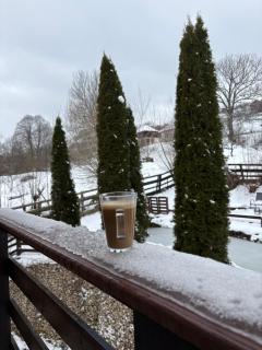 Vila dintre Brazi - 6