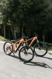 Forest Retreat Villa with Sauna and Jacuzzi - 5