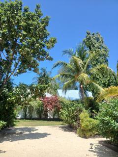 KIVi Cottages Nungwi - 5