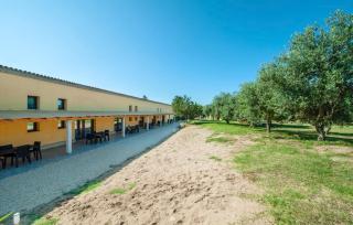 Lofts with private outdoor area and swimming-pool in Badesi - 2