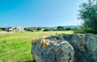 Lofts with private outdoor area and swimming-pool in Badesi - 3