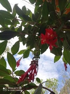 Spirit of the Montain lodge - 8