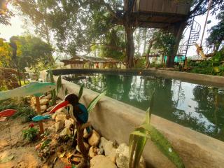 Pemsee's Tree Town - Eco Treehouse Hostel - 9
