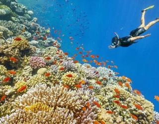 Laguna Pearl Private Beach & Pool Chalet - 6