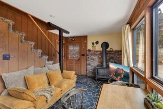 Singer Cabin 1 - Ridgway - 5