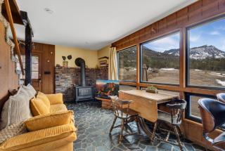 Singer Cabin 1 - Ridgway - 4