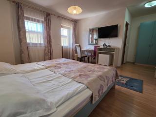 Pensiunea Maria , Floresti - 5