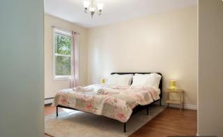 Bright and cozy cottage in the heart of Dartmouth - 8