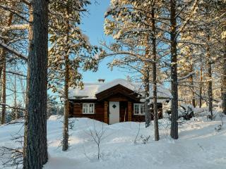 Newly Built Log Cabin Near Hardangervidda - 9