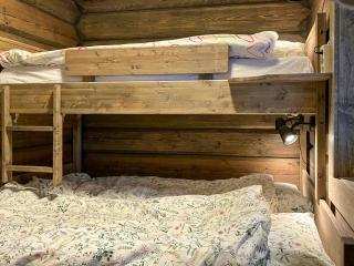 Newly Built Log Cabin Near Hardangervidda - 1