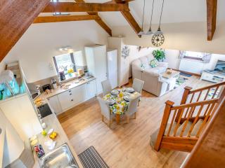 2 Bed in Virginstow TILLI - 7