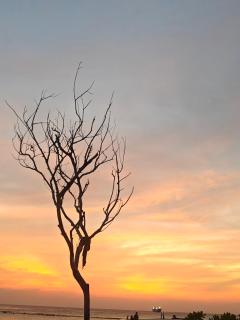 Karanka Villa @ Mahibadhoo - 4