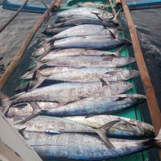 Tress Maria's beach resort - 9