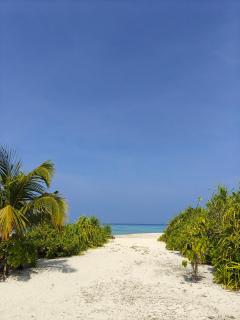Karanka Villa @ Mahibadhoo - 1