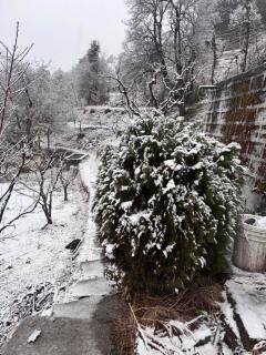 The Gypsy Soul Mukteshwar - 8