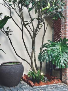 Coastline Peak Retreat - 4