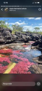 Reserva Natural El Mirador - 1