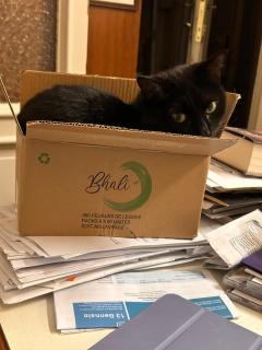 Hotel Lukas Vegetarian & Vegan - 9