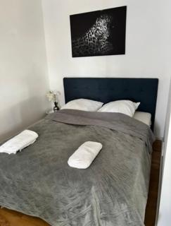 Bonner Street Luxury Apartment Cologne - 5