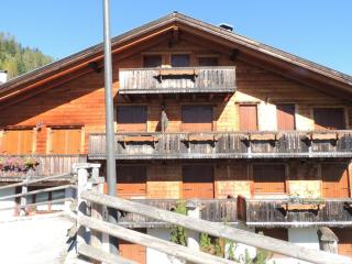 Ai Margini del Bosco - 2