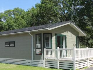 Oakdene 3 Bedroom Signature Lodge with Hot Tub - 6