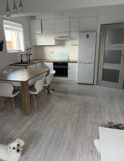 Apartament Madlen - 7