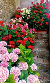 La Terrazza sul Castello di Torniella - 3