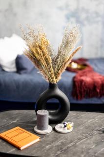 PARKOVY APARTAMENT - Your premium stay in Bydgoszcz City Center - 6