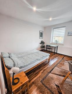 Apartament 5 minut od Parku Zamkowego - 4