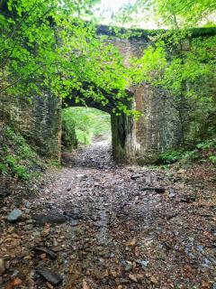 Casa doi mesteceni - 1